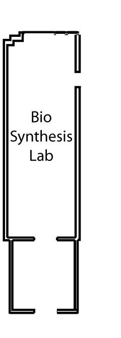 Biosynthesis Lab