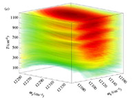 Peak shape analysis of diagonal and off-diagonal features in the 2D electronic spectra of the Fenna-Matthews-Olson complex