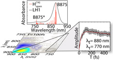 Electronic Structure And Dynamics Of Higher-Lying Excited States In Light Harvesting Complex 1 From <i>Rhodobacter sphaeroides</i>