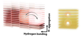 Optically accessible long-lived electronic biexcitons at room temperature in strongly coupled H- aggregates