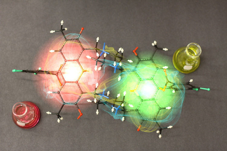 Coherent Dynamics activities within the Engel Group